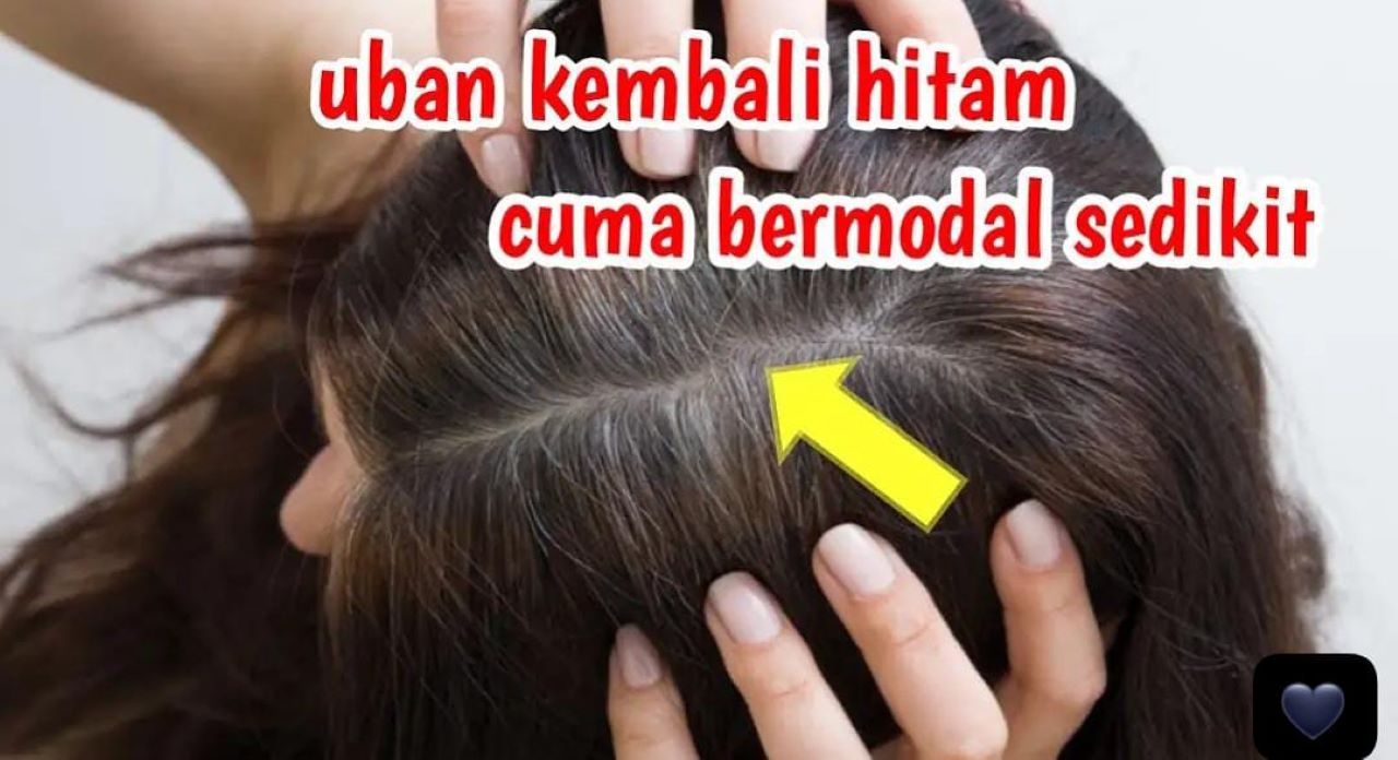 3 Cara Cepat Menghilangkan Uban Sampai Ke Akar Dalam 1 Malam, Bikin Rambut Hitam Merata