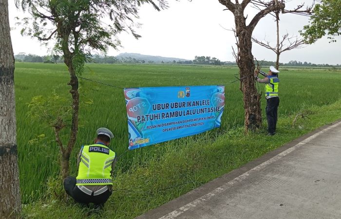 Ubur-Ubur Ikan Lele, Patuhi Rambu Lalu Lintas Lee