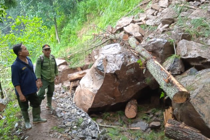 Jalan Lebakbarang - Kutorembet di Pekalongan Tertutup Longsor