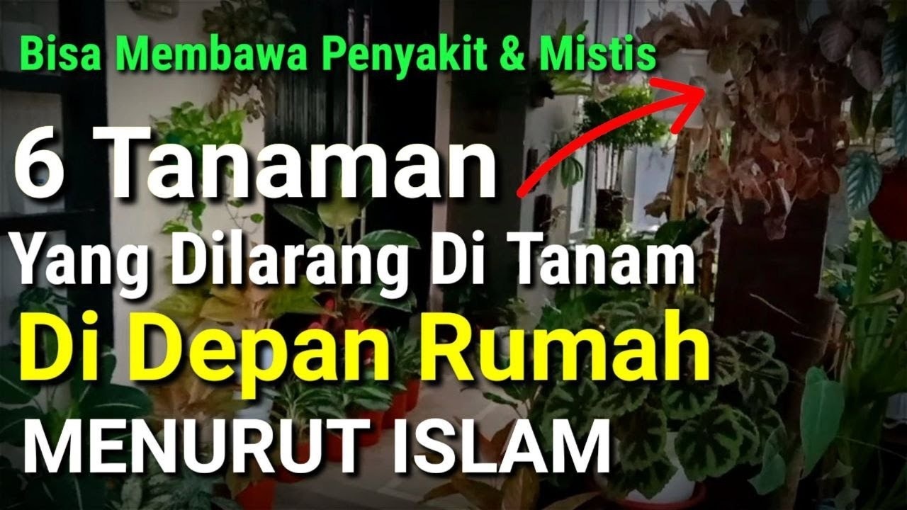 Hati-hati! Inilah 6 Tanaman yang Dilarang Ditanaman di Depan Rumah Menurut Islam