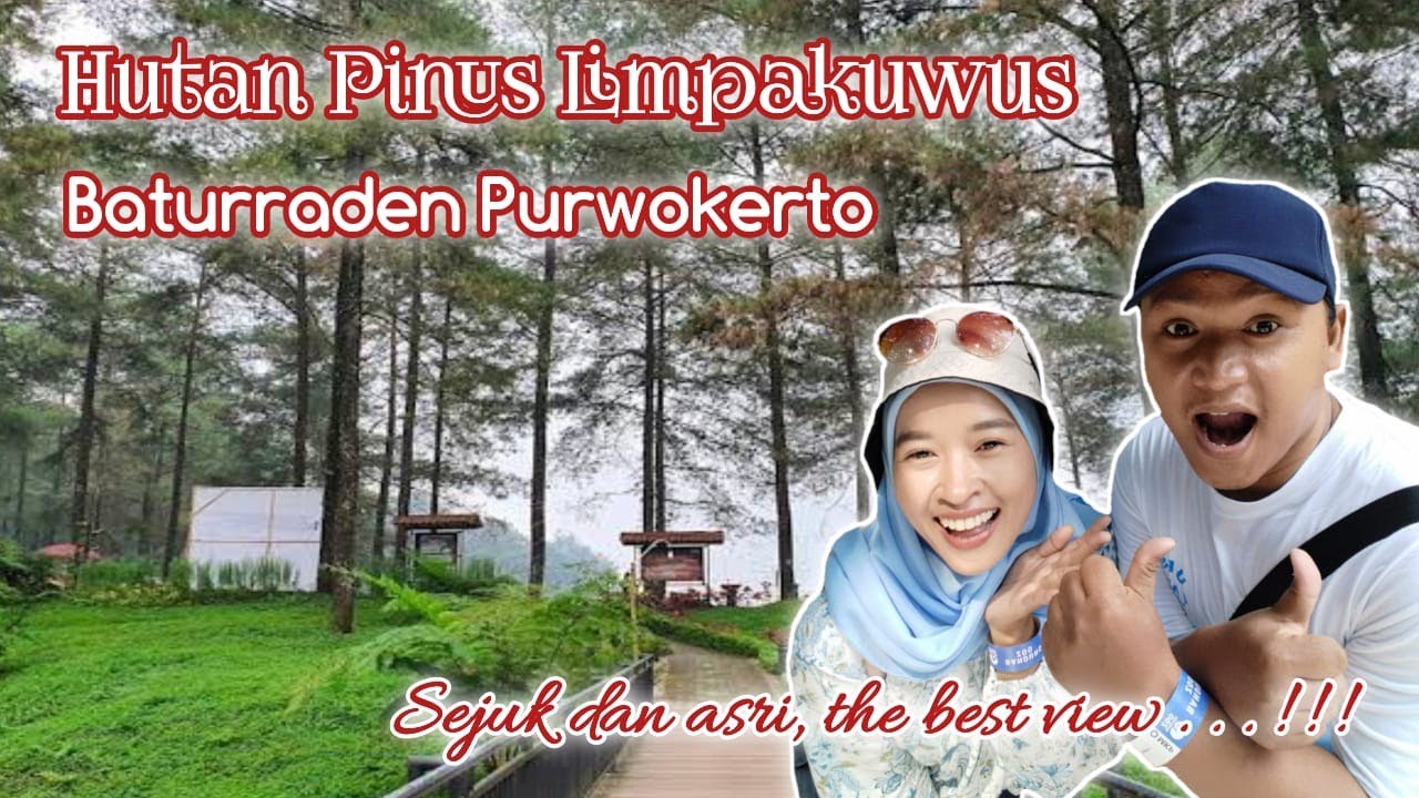 Wisata Low Budget! Nikmati Pesona Hutan Pinus Limpakuwus Beserta 9 Spot yang Cocok untuk Keluarga