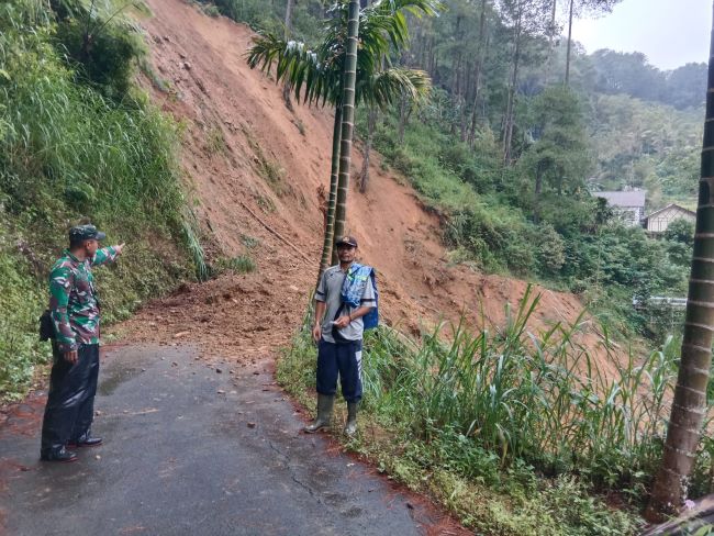 Diterjang Longsor Tengah Malam, Jalan Poros Desa Depok Lebakbarang Putus Total, 3 Kandang Sapi Hanyut