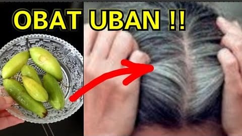 Begini Cara Menghitamkan Rambut dengan Belimbing Wuluh, Uban Hilang Permanen Sampai Ke Akar Cuma 3 Langkah