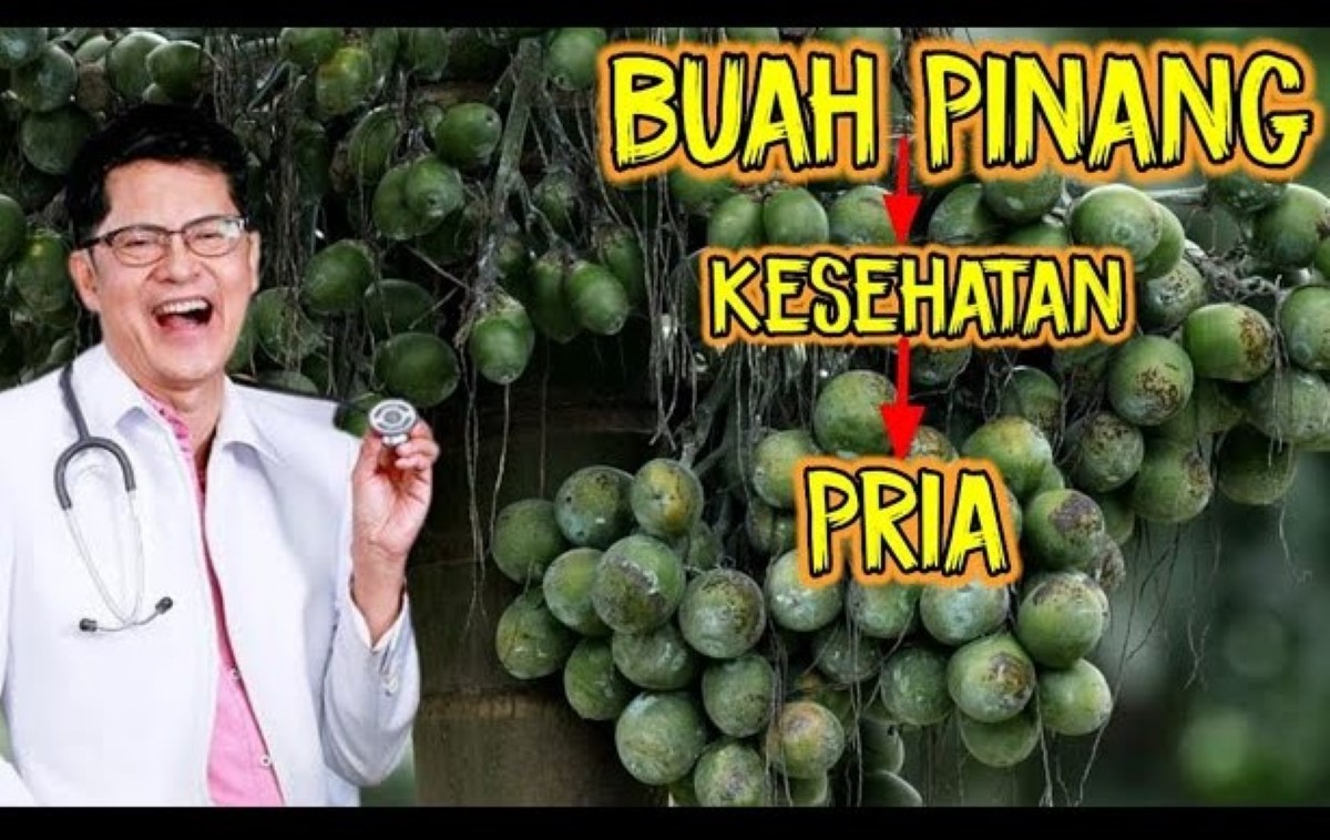 Bapak-Bapak Wajib Tahu! Ini Dia 7 Manfaat Buah Pinang Muda untuk Kesehatan Pria , Laki Wajib Banget Coba