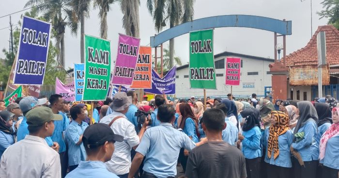 Pabrik Sarung di Pekalongan Dipailitkan, Ratusan Buruh PT Panamtex Gelar Aksi Demo