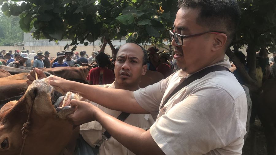 Jelang Idul Adha 2023, DKPP Kabupaten Pekalongan Perketat Pengawasan Hewan Kurban