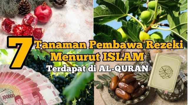 Sudah Disebutan di Al-Qur'an, Inilah 7 Tanaman Pembawa Rezeki Menurut Islam, Muslim Wajib Banget Baca Ini