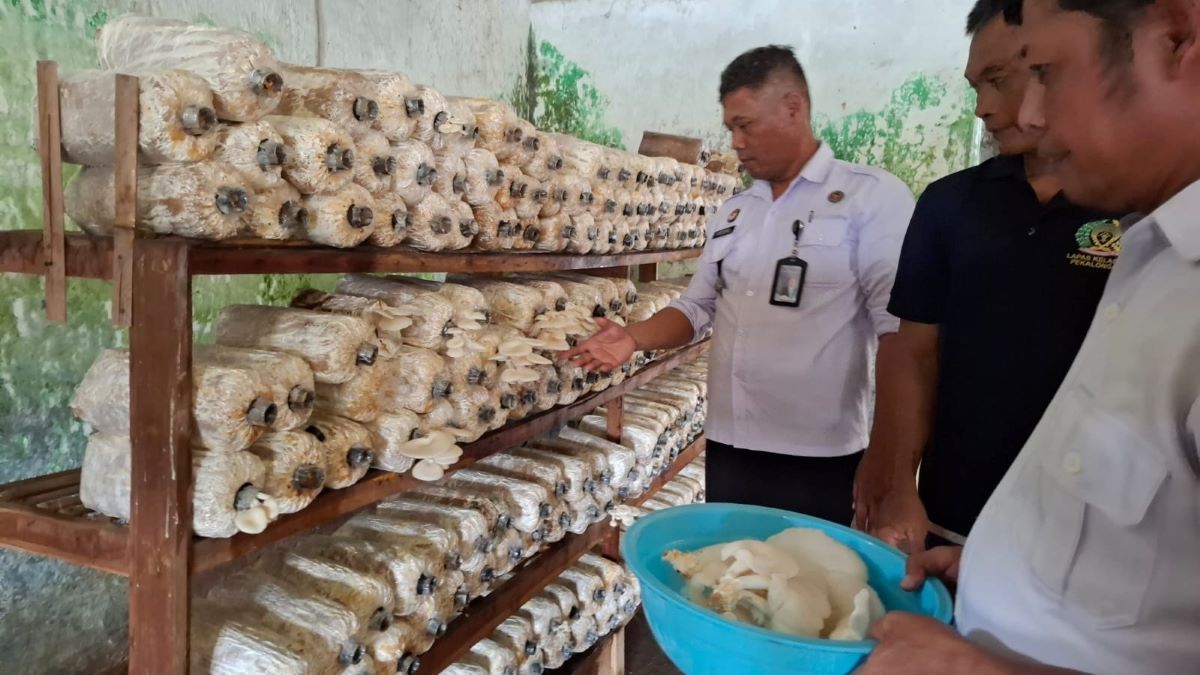 Lapas Pekalongan Kembangkan Budidaya Jamur dan Batik, Bekal WBP Mandiri Setelah Bebas!
