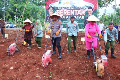 Dukung Swasembada Pangan, Polres Pekalongan Tanam Jagung Serentak 1 Juta Hektar di Lahan PTPN Blimbing