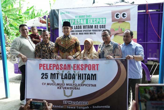 Permintaan Ekspor Tinggi, Petani Lada Minim