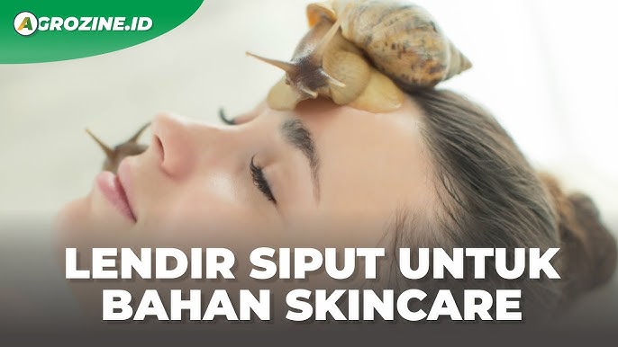 Manfaat Lendir Bekicot untuk Kesehatan Kulit, yang Sayangnya Diabaikan