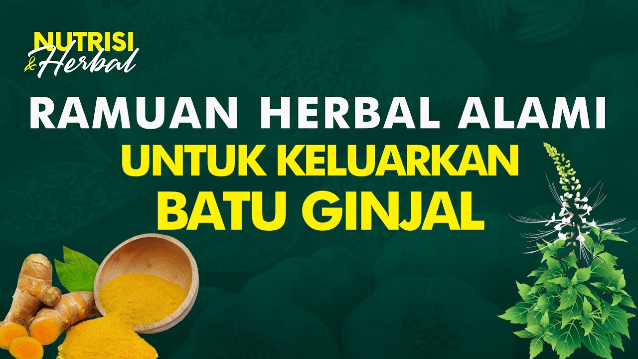 Rekomendasi Obat Alami untuk Pengobatan Ginjal dan Manfaat Kesehatannya yang Bisa Kamu Ambil