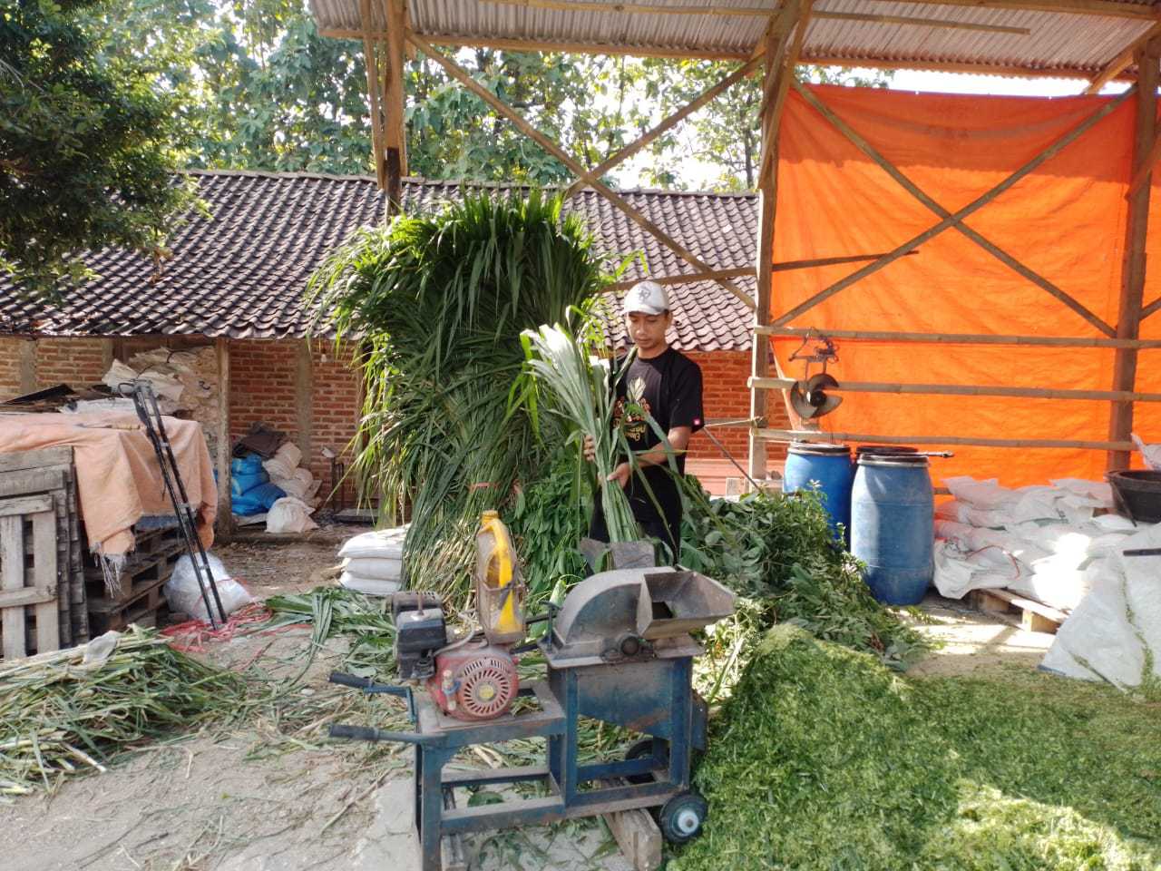 Kisah Pengusaha Pakan Ternak dari Ponorogo Ini Buktikan KUR BRI Bisa Bikin Usaha Berkembang