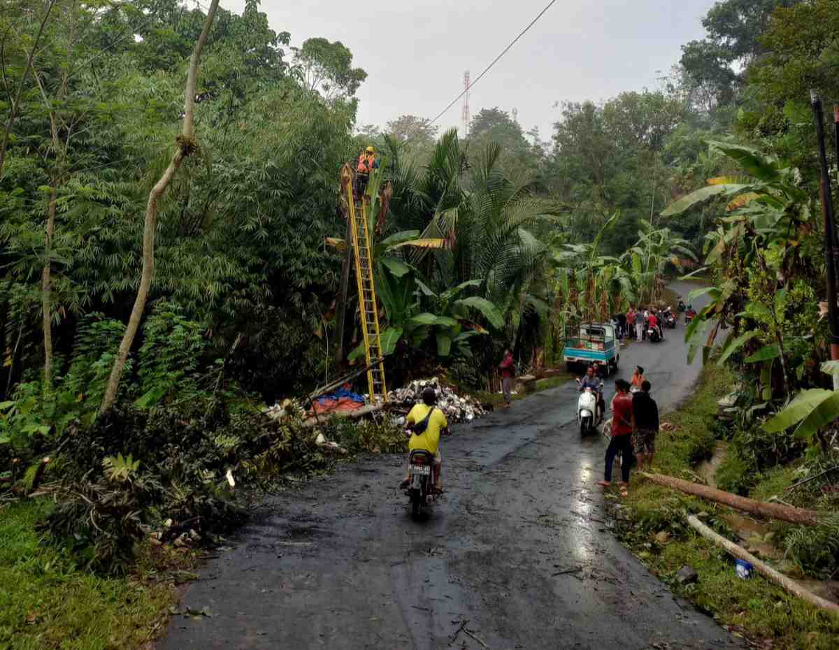 Cuaca Ekstrem di Batang dan Pekalongan, PLN Utamakan Keselamatan Warga dan Pemulihan Pasokan Listrik