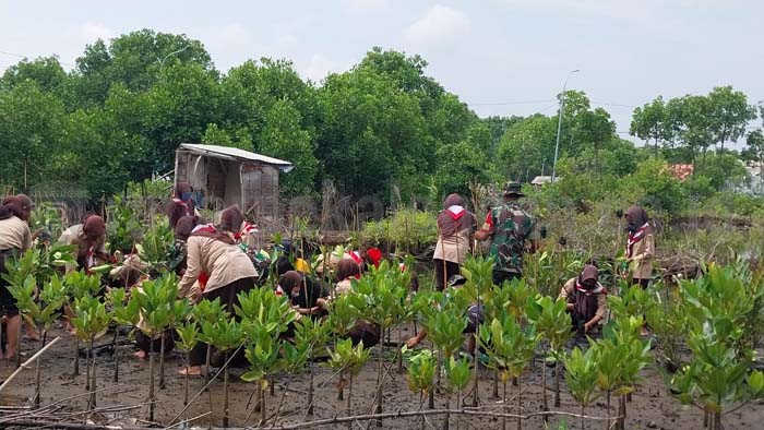 TNI dan Pramuka Tanam 2000 Mangrove di Pantai 