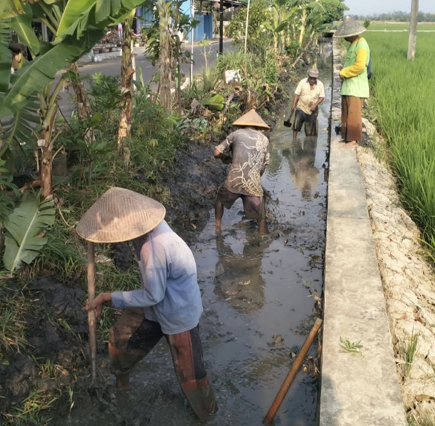 IP3A Kalijogo Tolak Pengeringan, Minta Dikaji Ulang