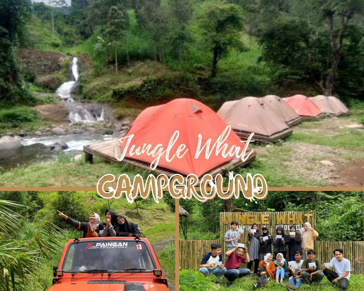 Wajib Masuk List Akhir Pekan! Inilah 5 Daya Tarik dari Jungle What Campground yang Menarik untuk Diketahui!