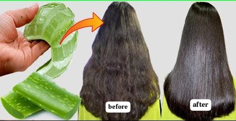 Begini Cara Meluruskan Rambut Dengan Lidah Buaya, Cuma 3 Langkah Bikin Halus Mudah Diatur Tanpa Rebonding