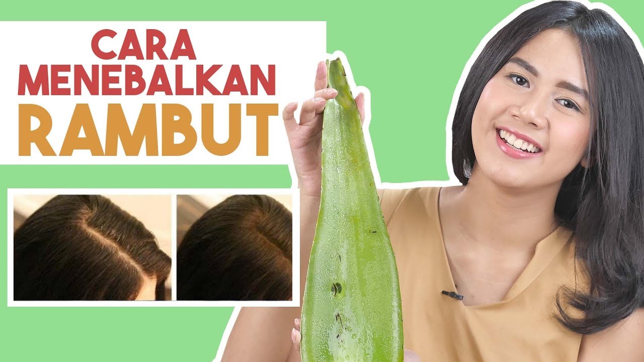 3 Cara Menebalkan Rambut dengan Lidah Buaya yang Benar, Rahasia Rambut Cepat Tumbuh Bebas Rontok dan Ketombe