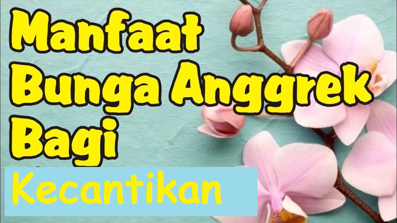 Bisa Bikin Awet Muda, Inilah 4 Manfaat Tanaman Anggrek untuk Kecantikan, Buktikan Sekarang Juga