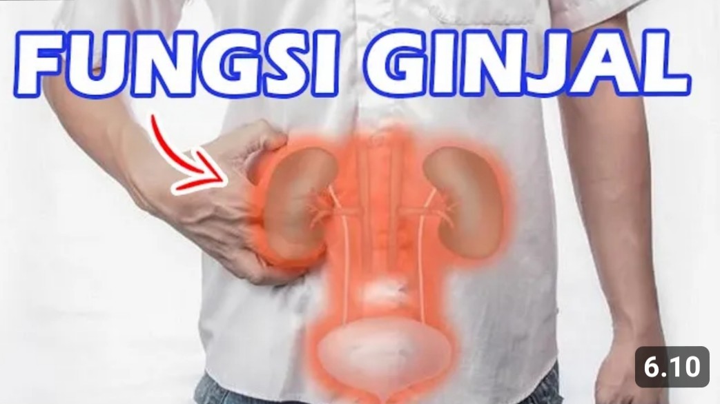 Penyaring Darah Terbaik, Inilah 7 Fungsi Ginjal untuk Jaga Kesehatan Tubuh