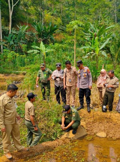 9 Ekor Kambing Mati di Desa Sodong Batang Bukan Akibat Serangan Macan, Ini Temuan Tim Identifikasi di Lapangan