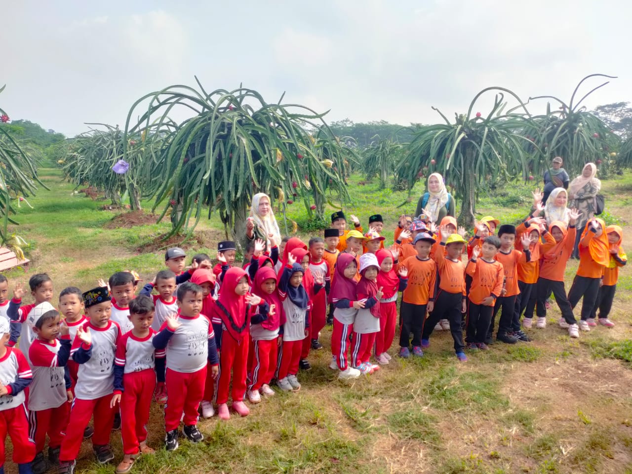 Tamasya ke Kebun Buah Tragung, Pelajar RA Arrokhmah Kauman Batang Diajak Rutin Konsumsi Buah