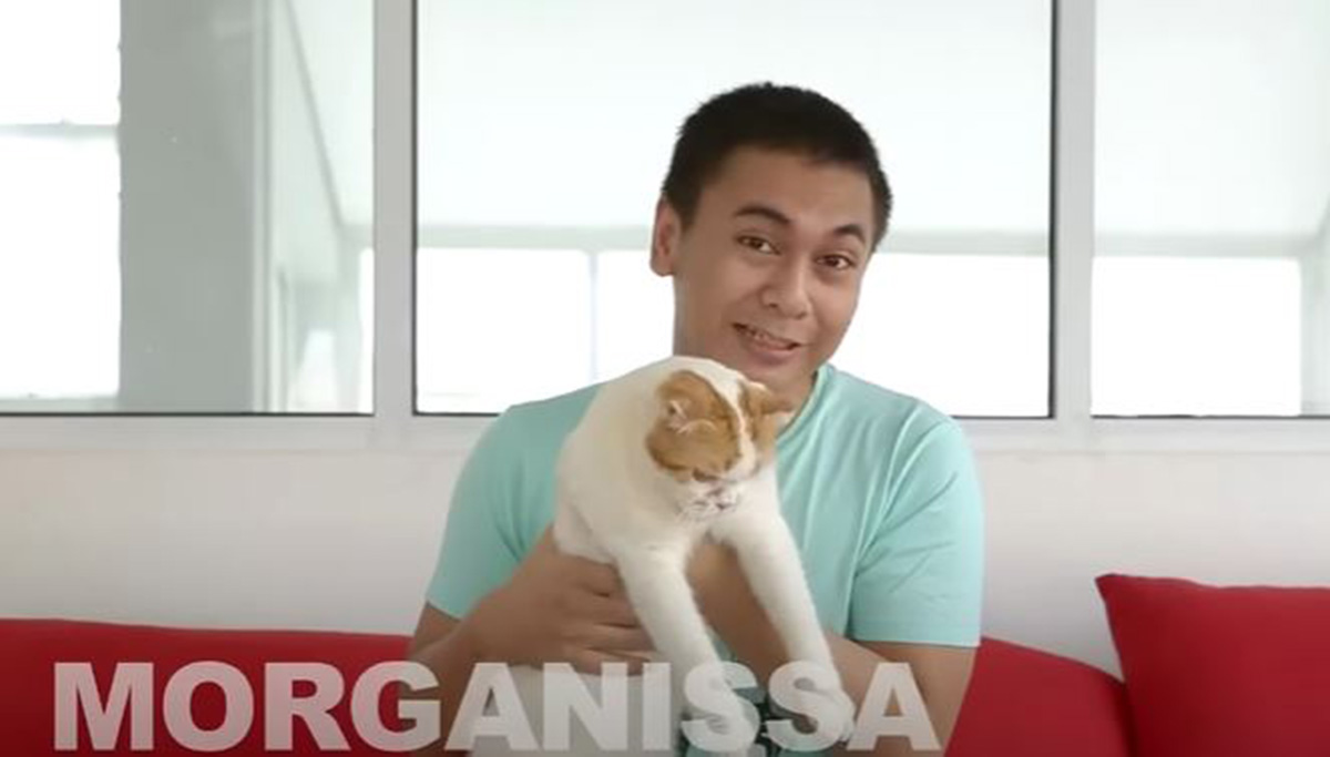 Pernah Ikut Syuting, Kucing Scottish Fold Peliharaan Raditya Dika Ini Lucu Banget, Mau Pelihara Juga?