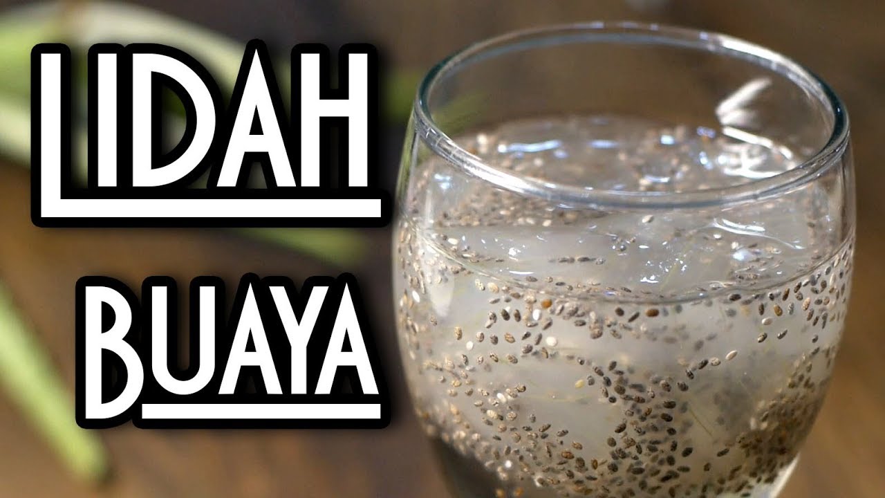 Begini Cara Membuat Minuman Kolagen dari Lidah Buaya dalam 3 Langkah, Cobain Yuk!