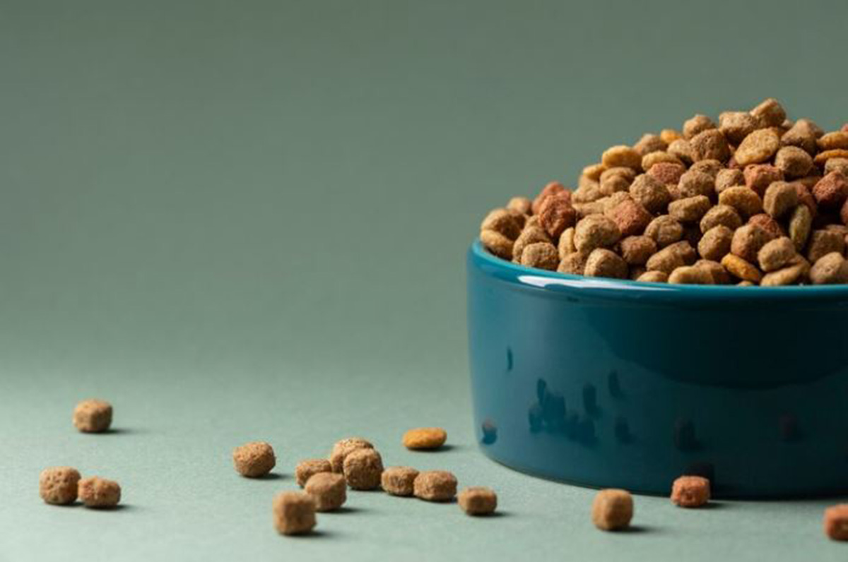 Sesuaikan Kebutuhan Nutrisi Anabul Kamu dengan Pakan Kucing Whiskas, Sudah Masuk Standar Dunia!