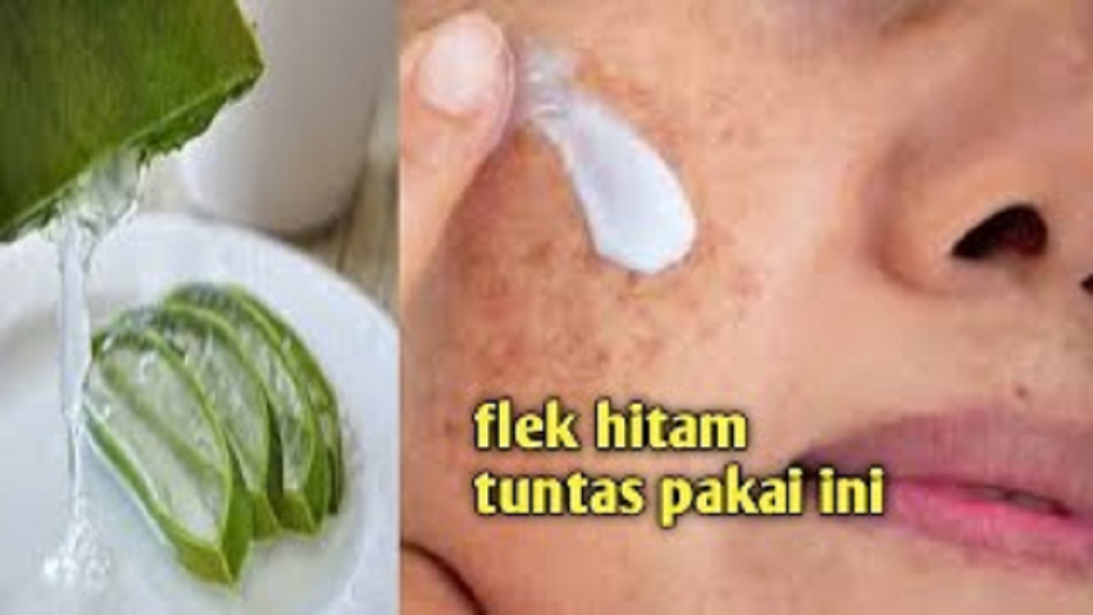 Tips Hilangkan Kerutan dan Flek Hitam dengan Lidah Buaya, Cuma 3 Cara Buat Kulit Selangkah Lebih Muda