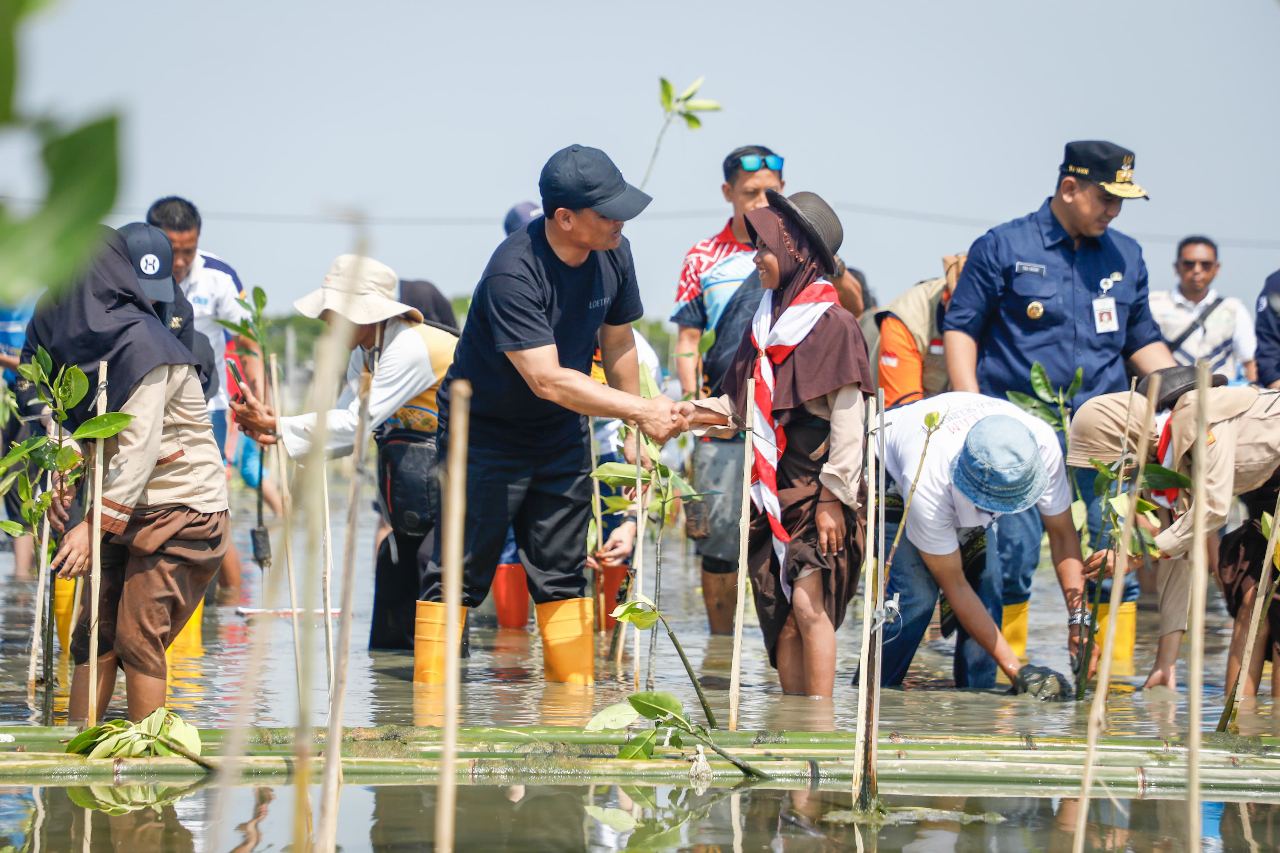 Galakkan Gerakan Mageri Segoro, Ahmad  Luthfi Tanam 1,5 Juta Mangrove di Pesisir Jateng