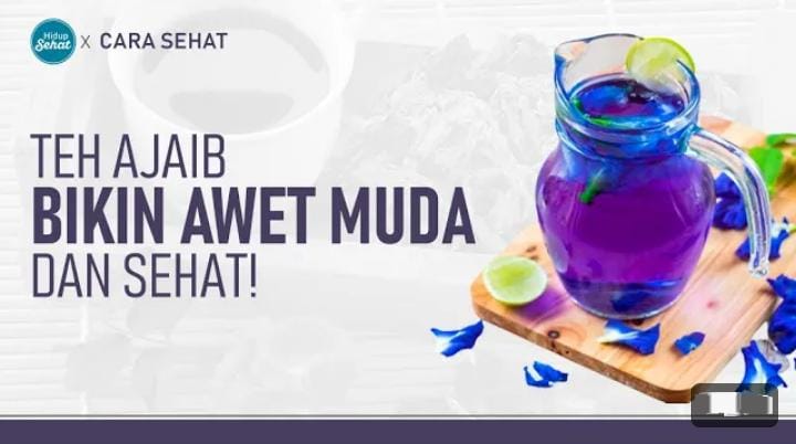 Inilah 7 Manfaat Minum Rebusan Bunga Telang untuk Kulit, Bikin Awet Muda Memutihkan dari Dalam