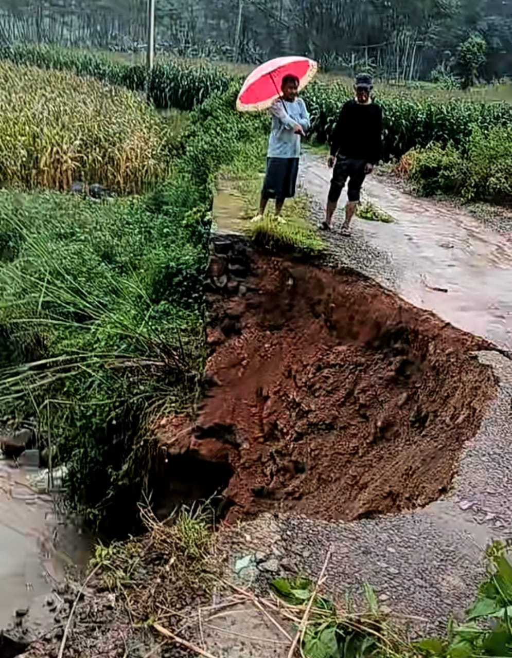 Tebing Jembatan Penghubung Desa Wonotunggal - Kemligi Longsor, Warga Terpaksa Memutar 9 Km