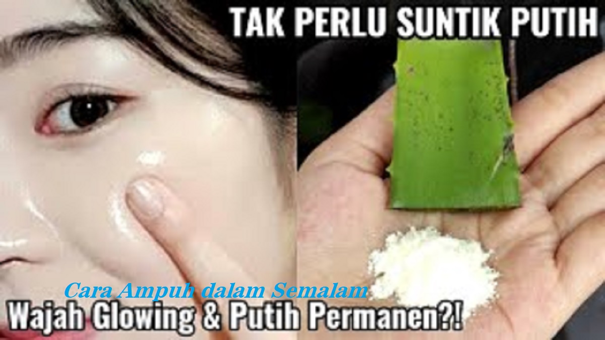 4 Cara Cepat Memutihkan Wajah dengan Lidah Buaya Dalam 1 Hari, Bikin Wajah Glowing Tanpa Noda Hitam Membandel 