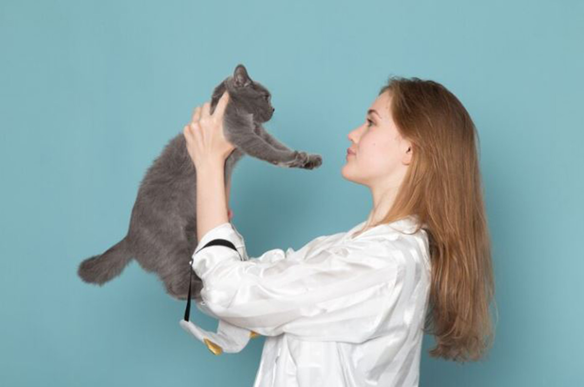 Apa Syarat Vaksin Kucing? Ini Dia Himbauan dari Dokter Hewan yang Perlu Kamu Tahu agar Anabul Siap Divaksin!