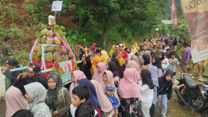 Lolong Culture Festival 2024 Pesta Durian Semarak, 3 Ribu Paket Durian Lokal Habis Dibagikan Secara Gratis