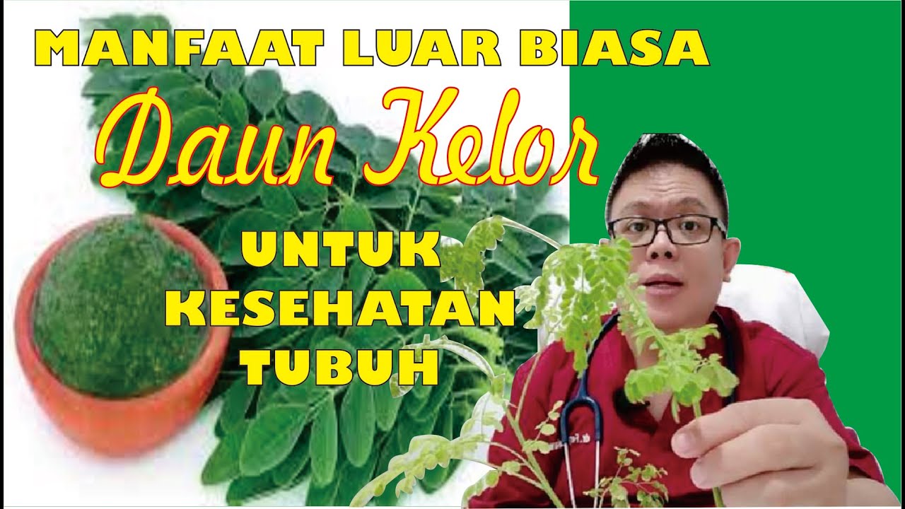 Yuk Konsumsi Daun Kelor! Ini 3 Kegunaan Daun Kelor untuk Kesehatan