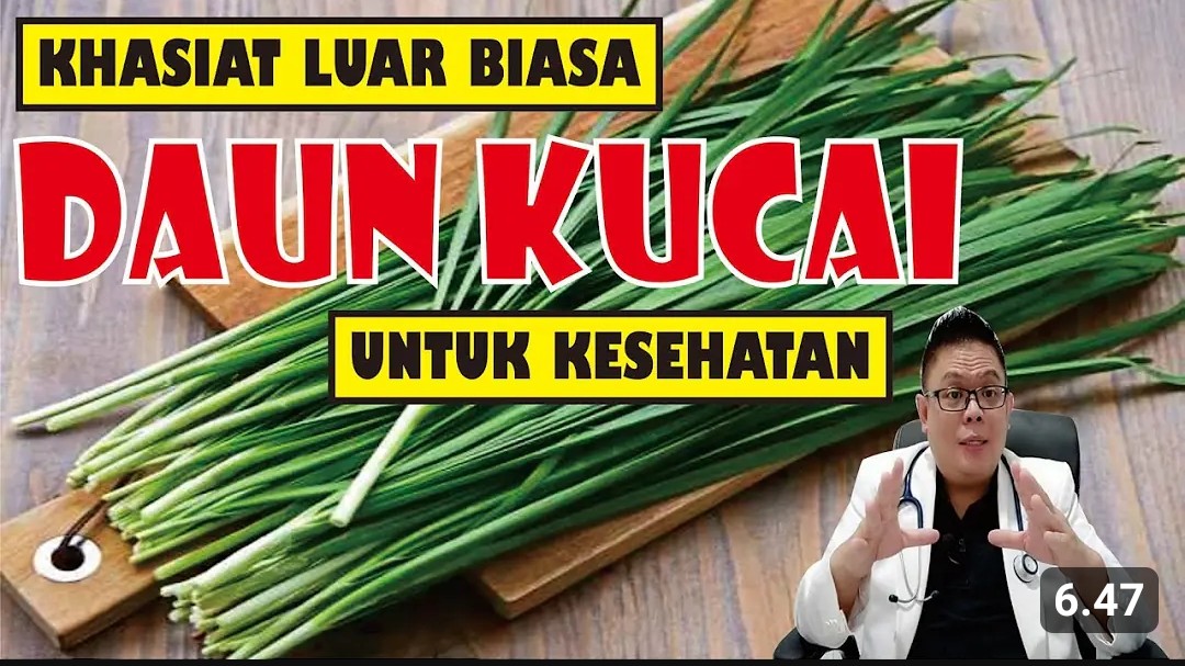 Manfaat Daun Kucai Bagi Tubuh dan Cara Membuat Makanan jadi Nikmat