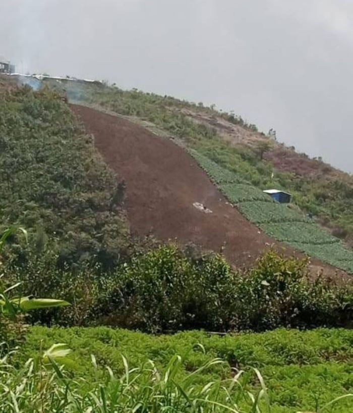 Pemkab Pekalongan Perketat Regulasi Lewat Perda Tata Ruang, Antisipasi Alih Fungsi Lahan di Pegunungan