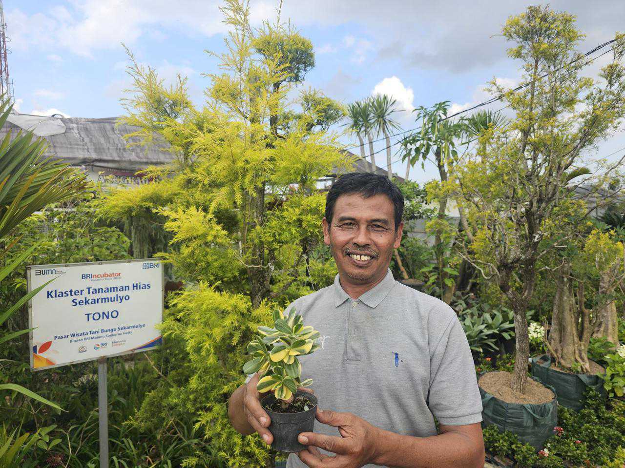 Sukses Jadi Mata Pencaharian Warga Sekitar, Ini Kisah Klaster Usaha Tanaman Hias Binaan BRI 