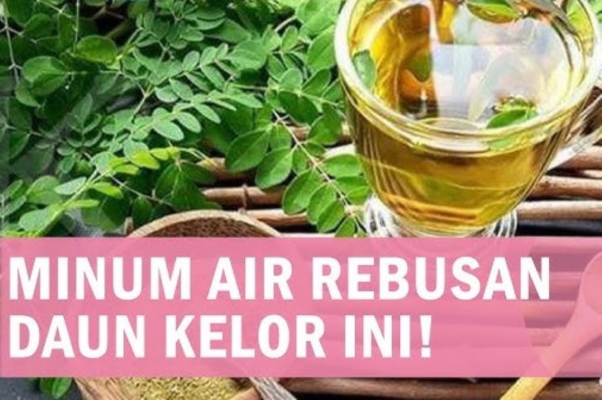 Manfaat Air Rebusan Daun Kelor untuk Kesehatan Lansia 60 Tahun ke Atas, Bisa Menghambat Penuaan Dini Lho!