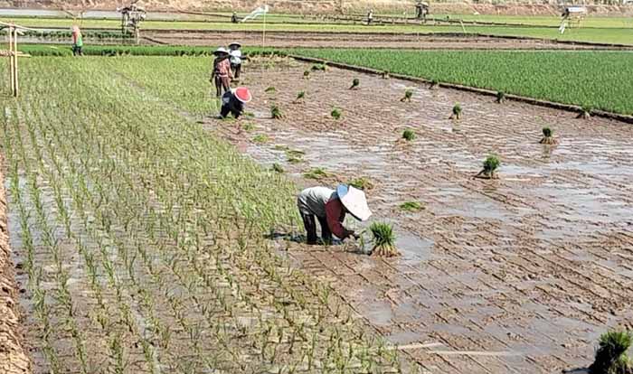 Antisipasi Kekeringan, Pemkab Batang Sinergi dengan PDAB Jateng