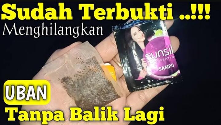 Begini Cara Menggunakan Teh untuk Menghilangkan Uban, Rambut Hitam Permanen Sampai ke Akar dalam 4 Langkah