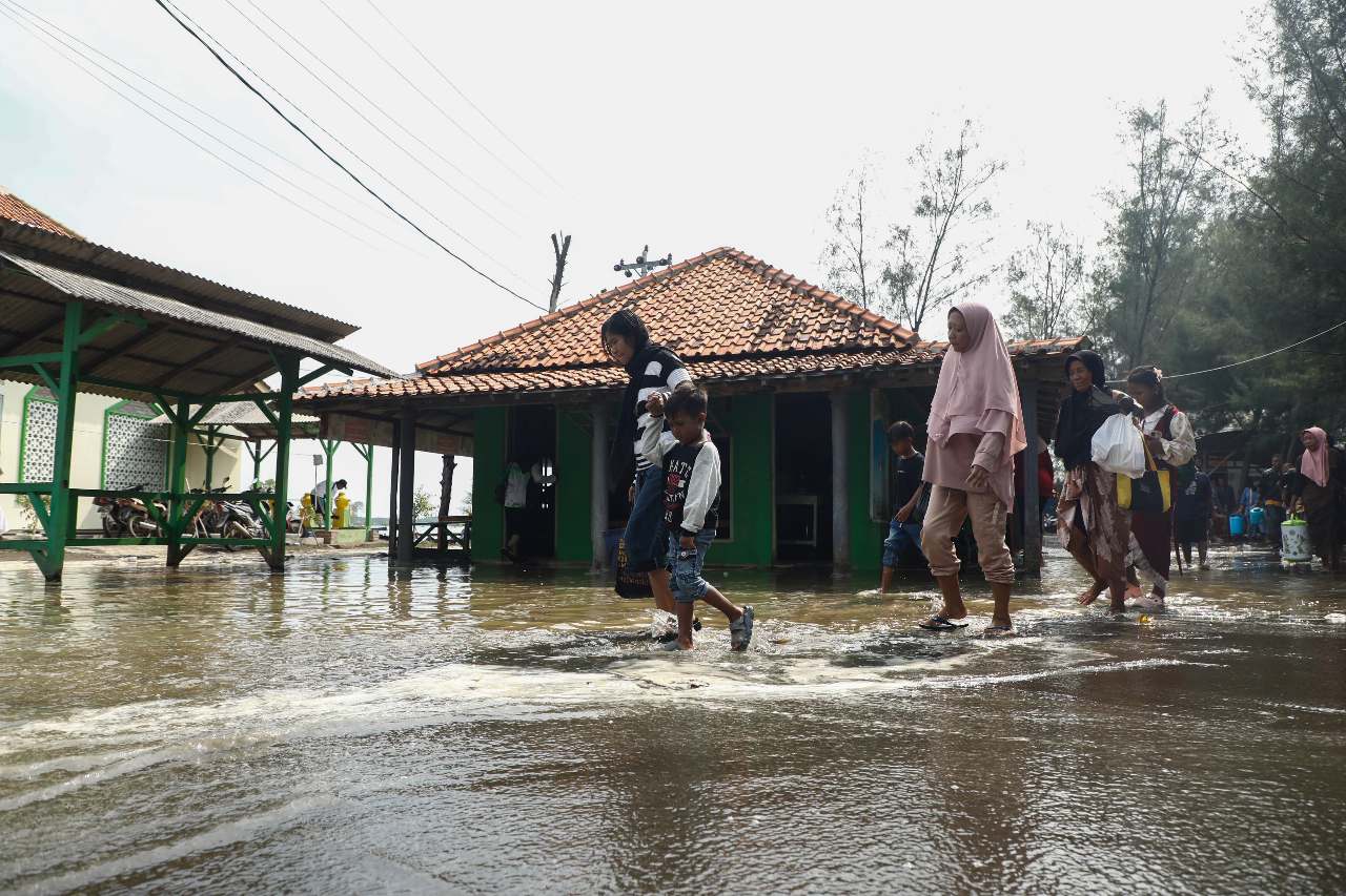 Penanaman Mangrove, Harapan Besar Warga Pemalang Terbebas dari Abrasi dan Rob
