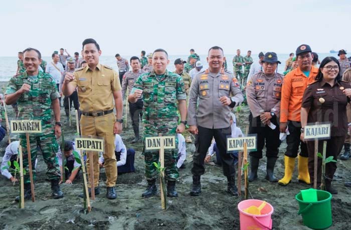 Lima Wilayah Sukses Ditanami Total 8.000 Mangrove