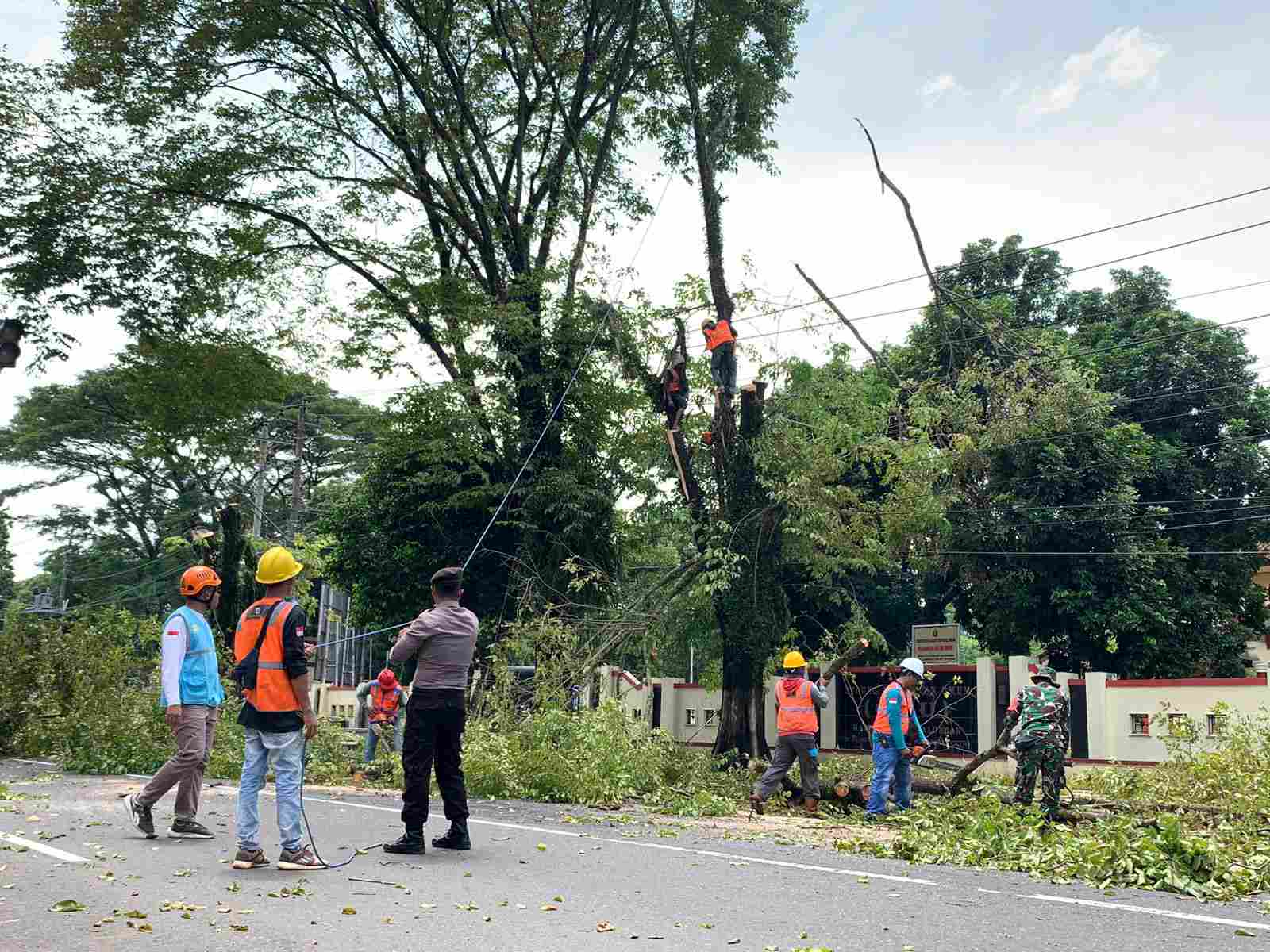 Tingkatkan Keandalan Pasokan Listrik, PLN inisiasi Sporter Batik