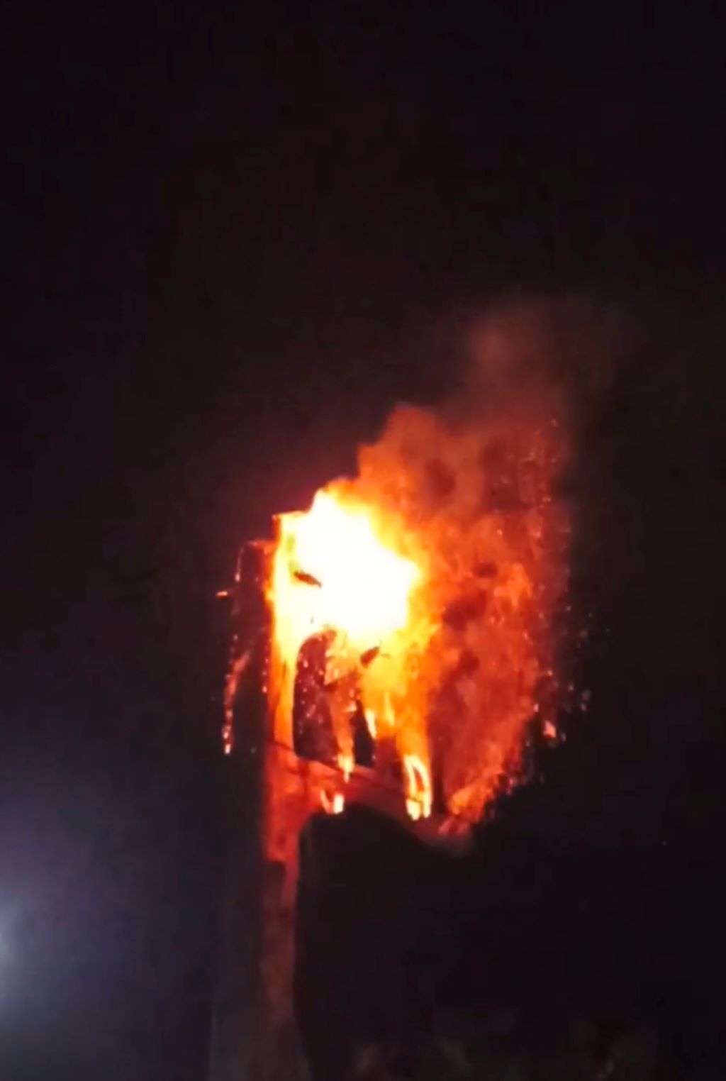 Viral! Pohon Setinggi 20 Meter di Dororejo Terbakar Hebat Disambar Petir, Api Tak Padam 2 Hari