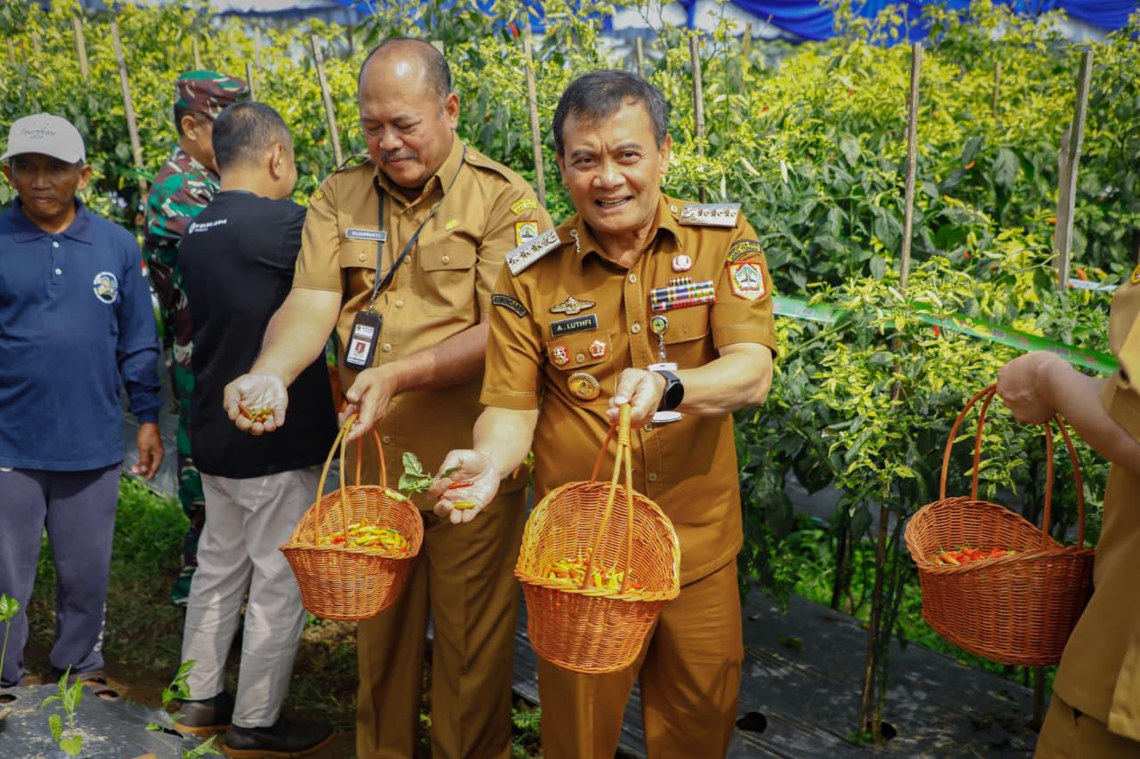 Antisipasi Kelangkaan Cabai, Inilah Upaya Pemprov Jateng dalam Membantu Petani