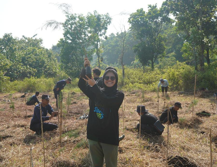 Dukung Gerakan Mageri Segoro, KEK Industropolis Batang Tanam 11.254 Bibit Mangrove